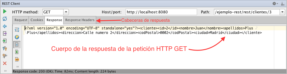 Resultado de ejecución de una petición GET ejecutada desde Intellij