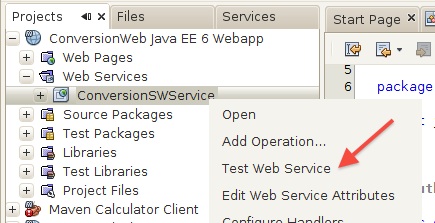Invocaci&oacute;n de la prueba del servicio web